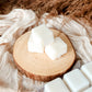 Bookish Holiday Coconut Wax Melts ☻ Sweet Like Cinnamon